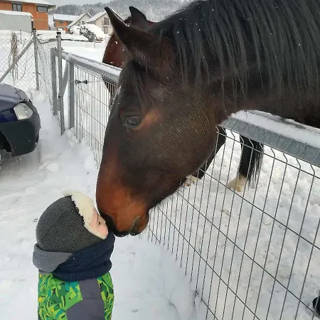 Apartman Emu *